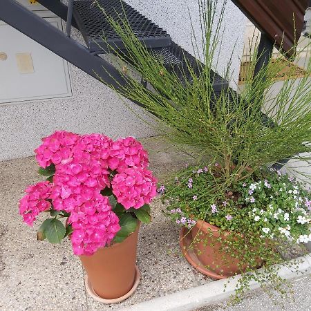Apartma Arnez Bled Buitenkant foto